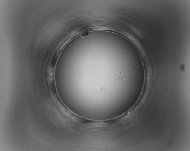 X0000112851193200908281555