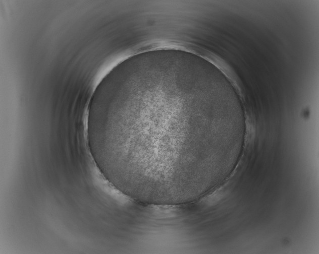 X0000112851198200908281555