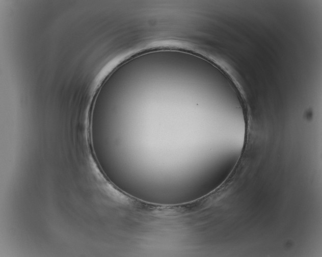 X0000112851199200908281555