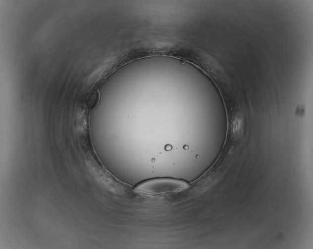 X0000112851204200908281555