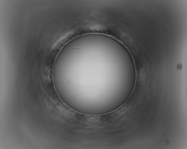 X0000112851205200908281555