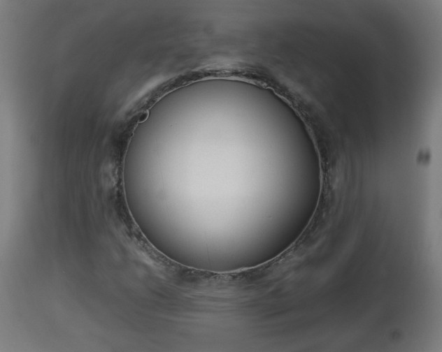 X0000112851206200908281555