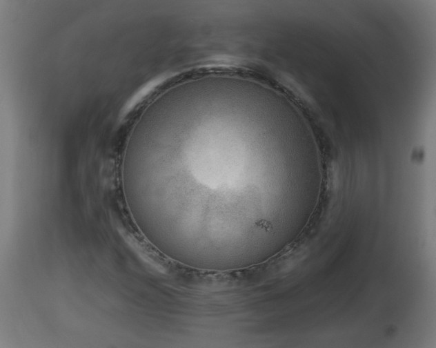 X0000112851208200908281555