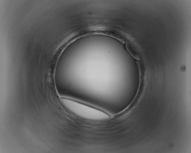 X0000112851209200908281555