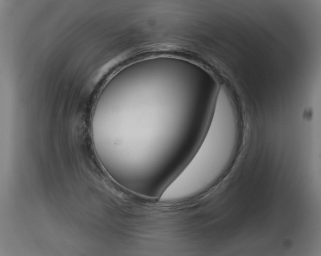 X0000112851210200908281555