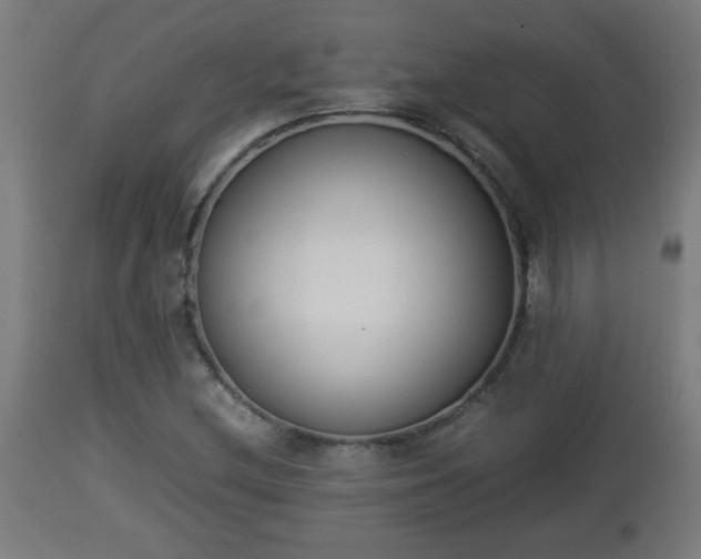 X0000112851212200908281555