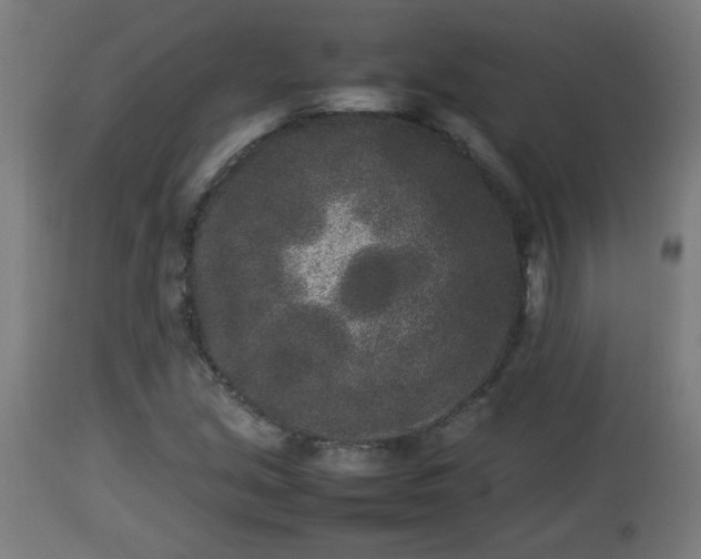 X0000112851213200908281555