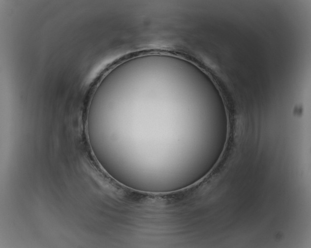 X0000112851214200908281555