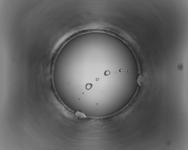 X0000112851216200908281555