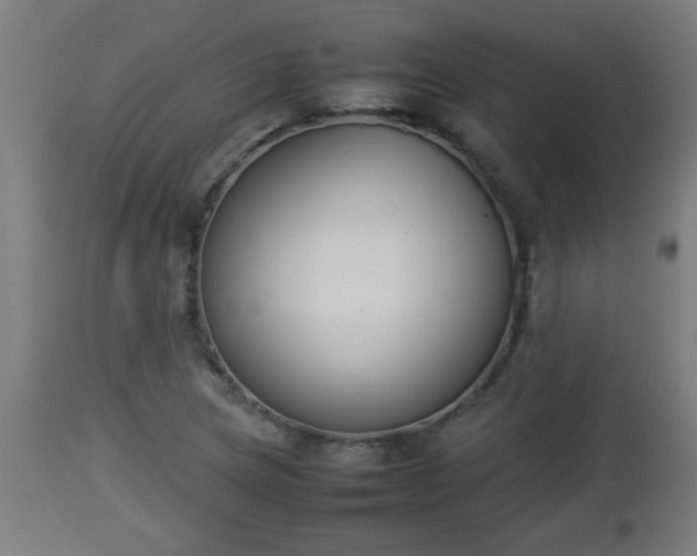 X0000112851217200908281555