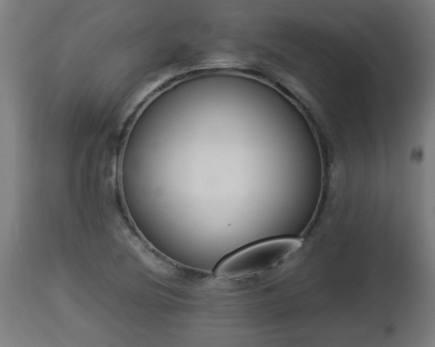 X0000112851220200908281555