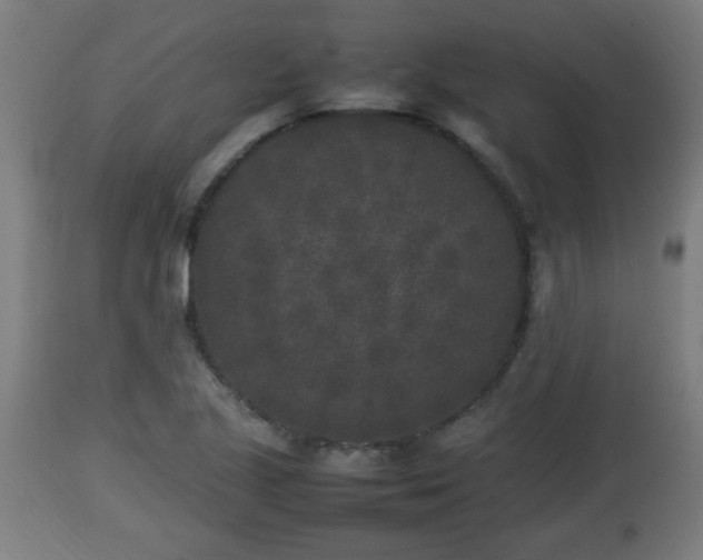 X0000112851221200908281555