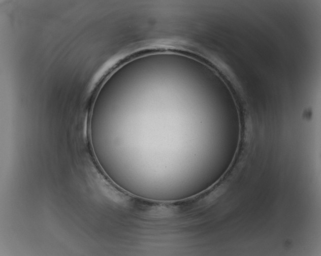 X0000112851224200908281555