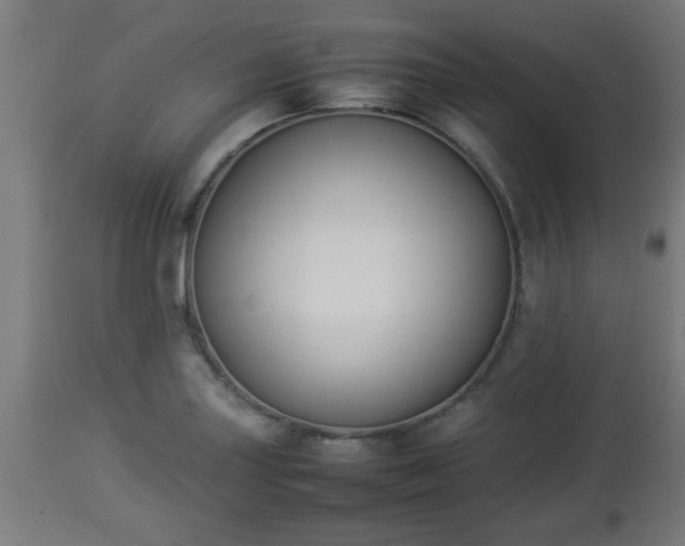 X0000112851227200908281555
