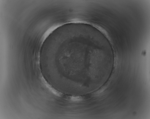 X0000112851231200908281555