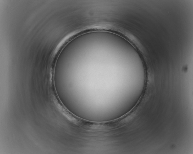 X0000112851232200908281555