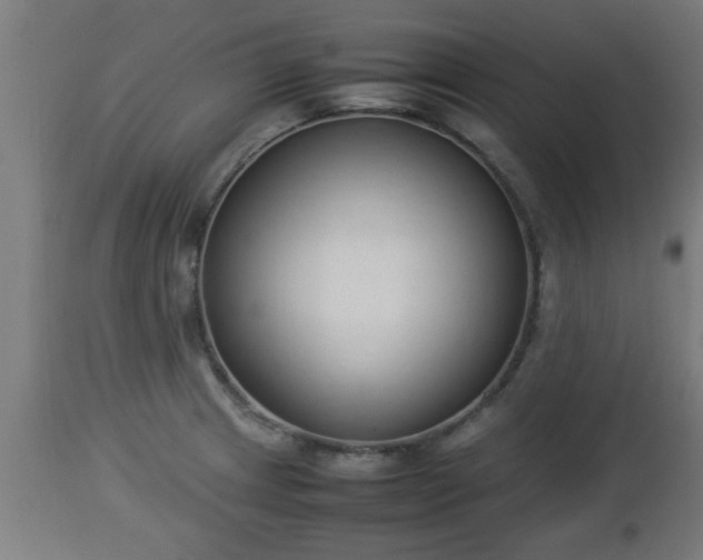 X0000112851233200908281555