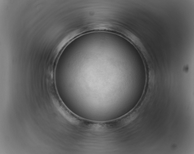 X0000112851234200908281555