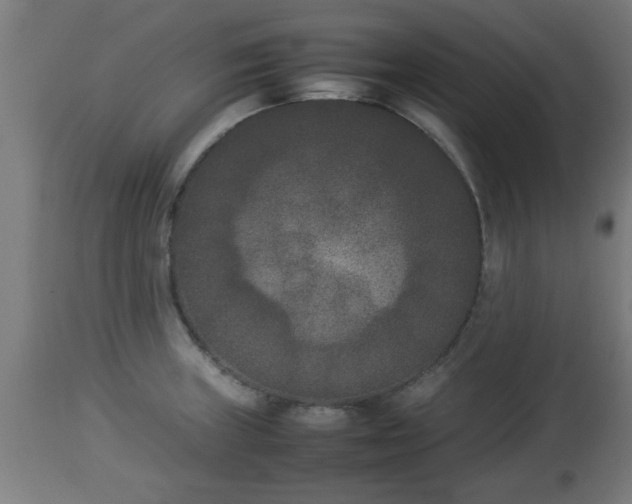 X0000112851235200908281555