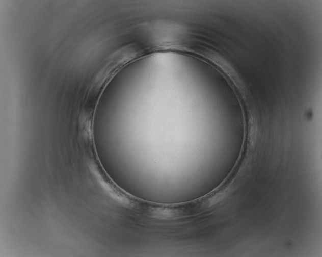 X0000112851241200908281555