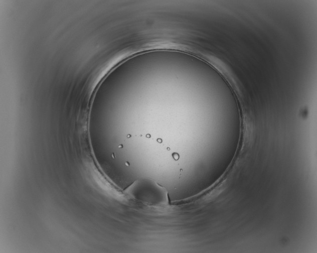 X0000112851244200908281555