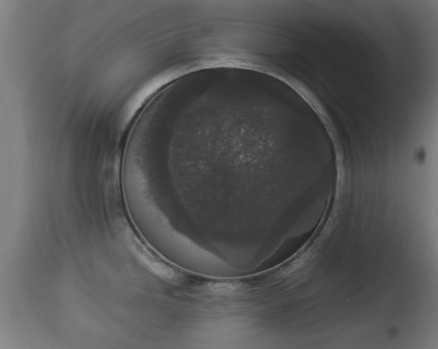 X0000112851246200908281555