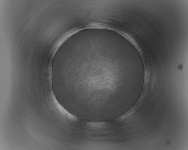 X0000112851247200908281555