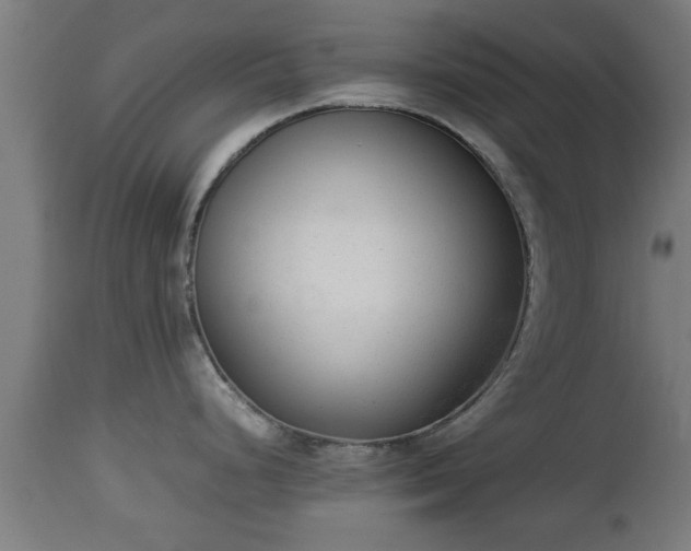 X0000112851248200908281555