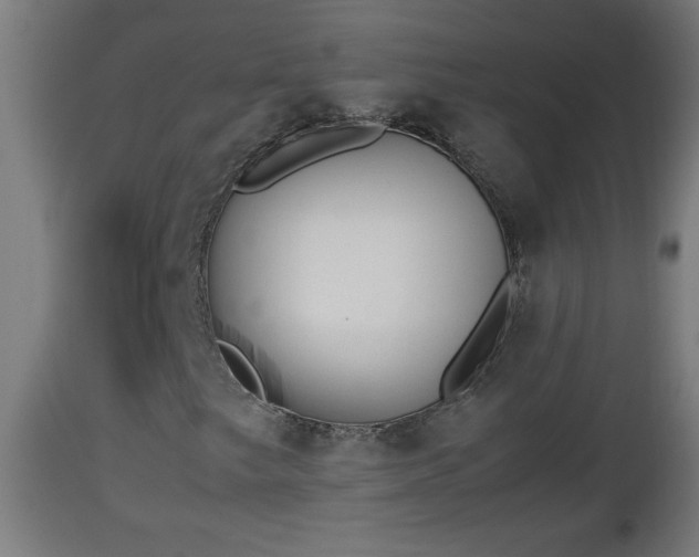 X0000112851249200908281555