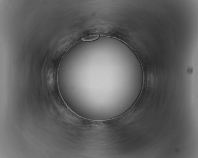 X0000112851250200908281555