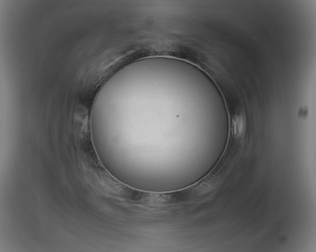 X0000112851251200908281555