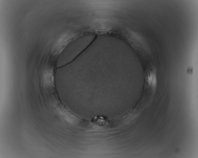 X0000112851252200908281555