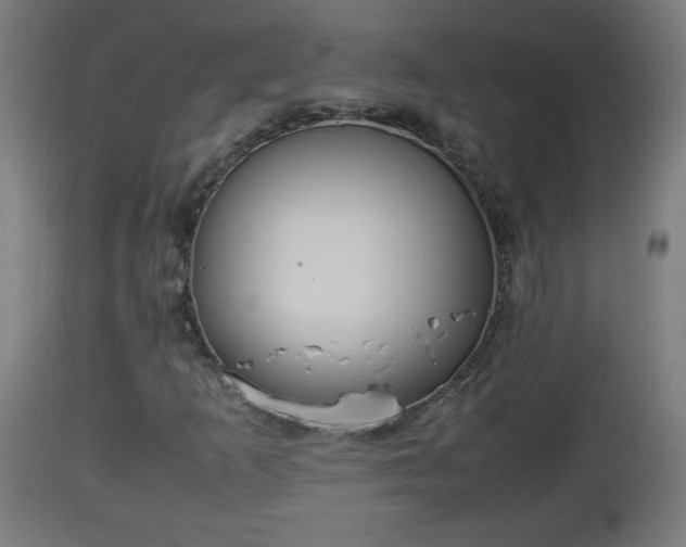 X0000112851253200908281555