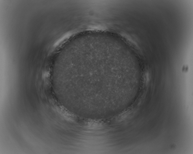 X0000112851254200908281555