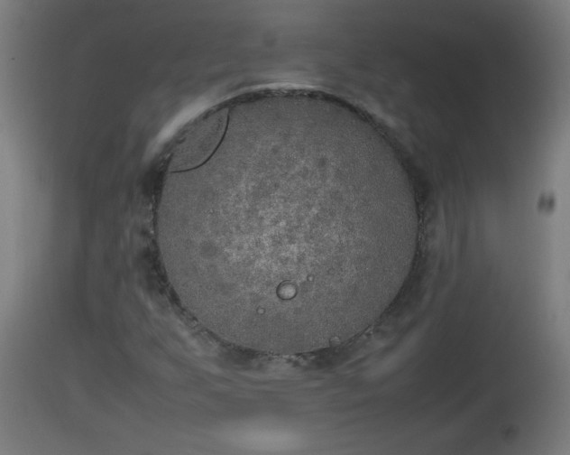 X0000112851255200908281555