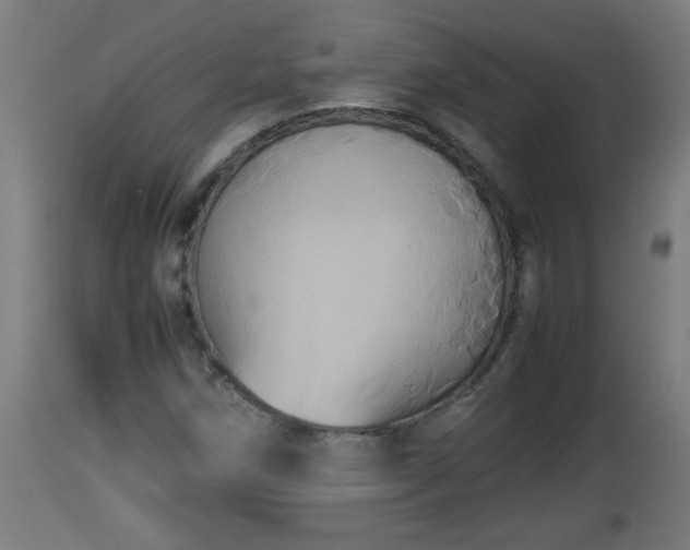 X0000112851258200908281555