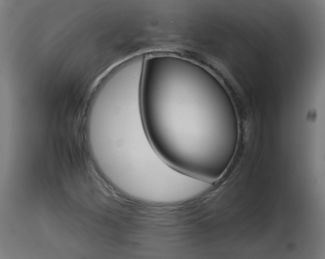 X0000112851260200908281555