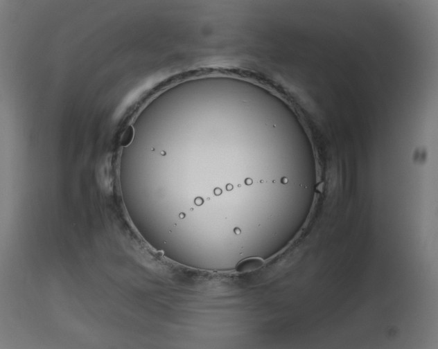 X0000112851262200908281554