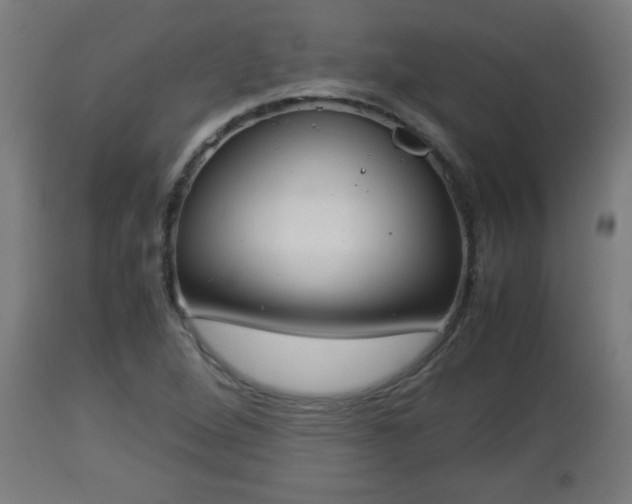 X0000112851264200908281554