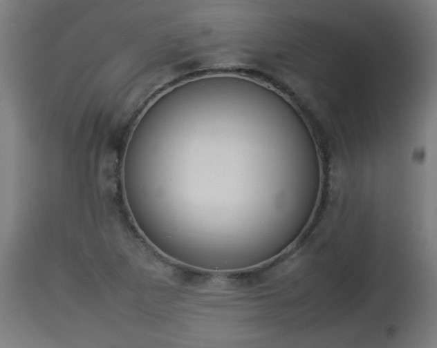 X0000112851265200908281554