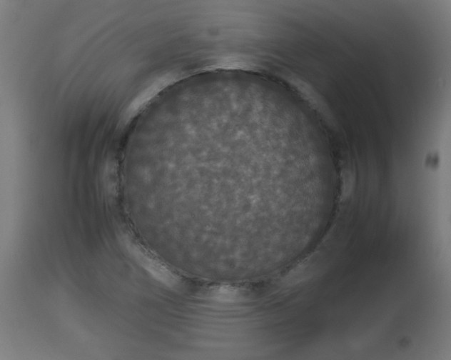 X0000112851266200908281554