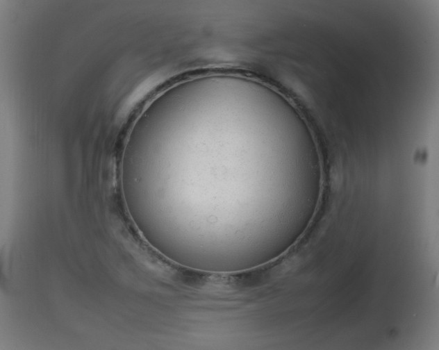 X0000112851267200908281554