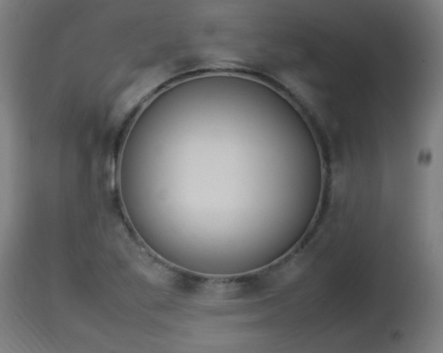 X0000112851269200908281554