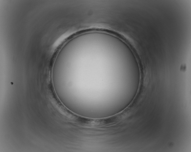 X0000112851271200908281554