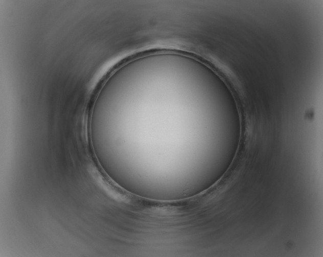 X0000112851272200908281554