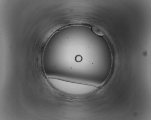 X0000112851273200908281554