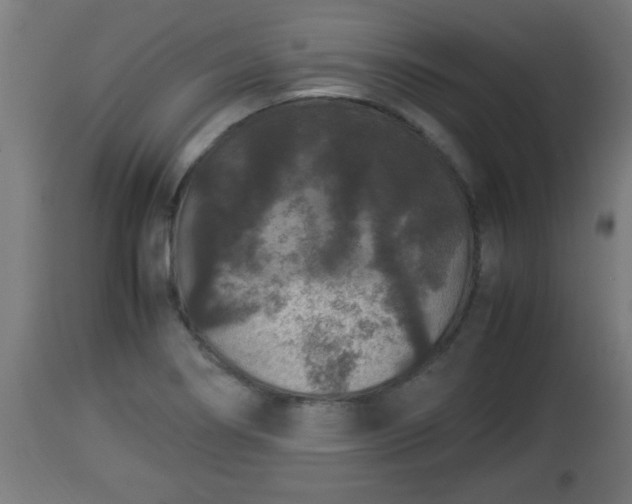 X0000112851274200908281554
