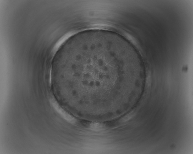 X0000112851275200908281554