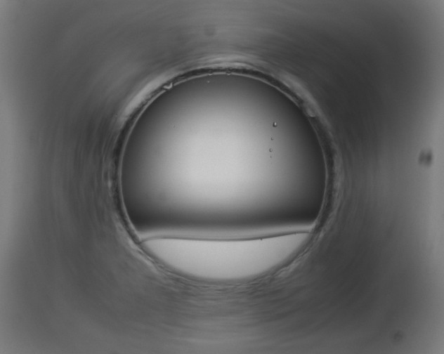 X0000112851277200908281554