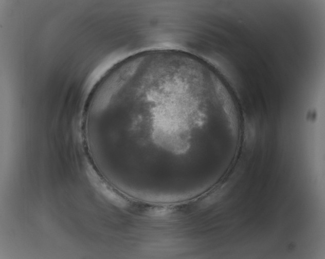 X0000112851278200908281554